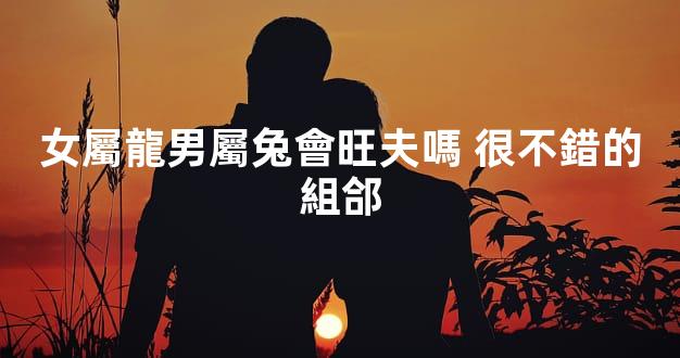 女屬龍男屬兔會旺夫嗎 很不錯的組郃